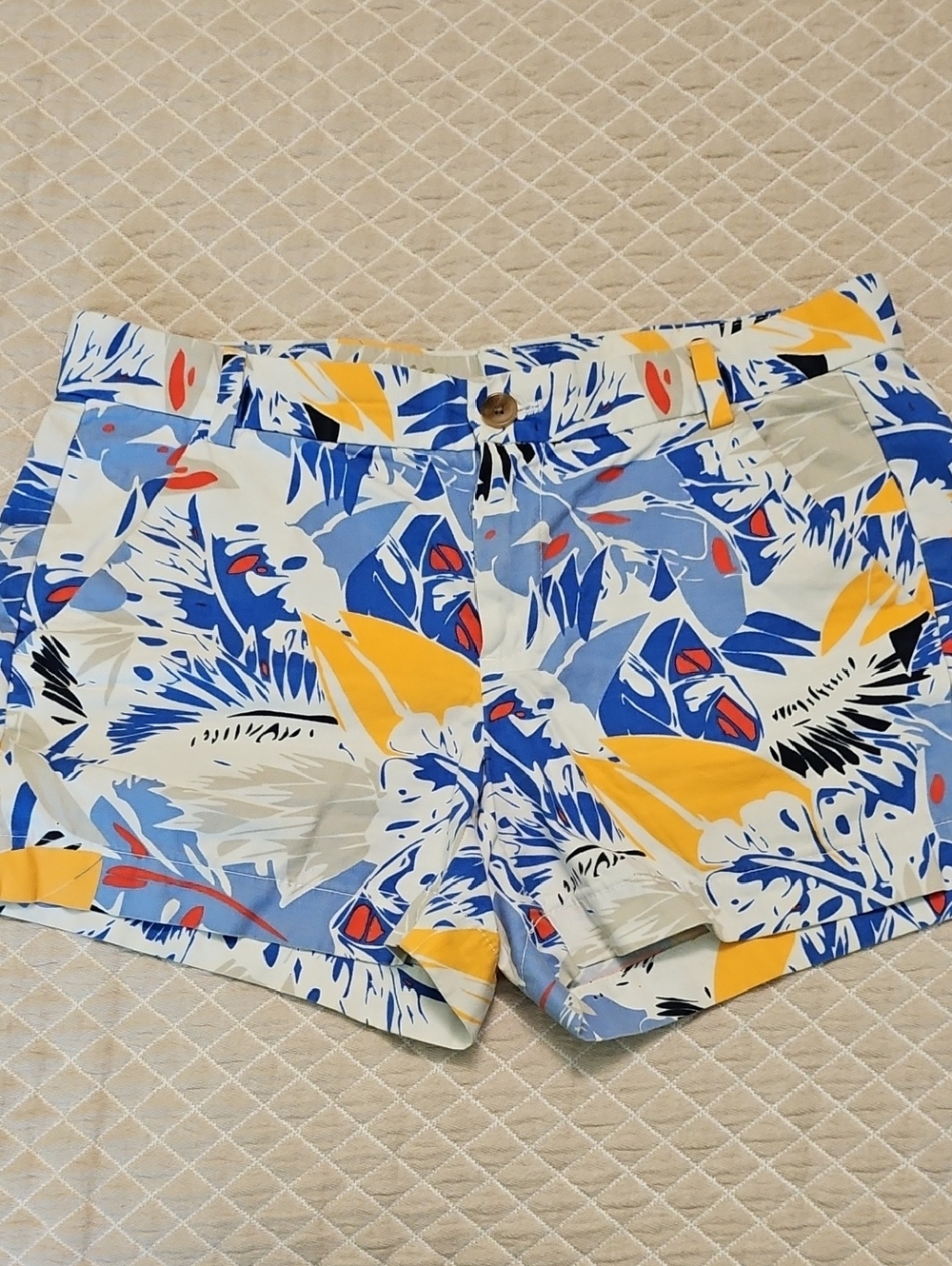 Gap Sunkissed Shorts Size 2